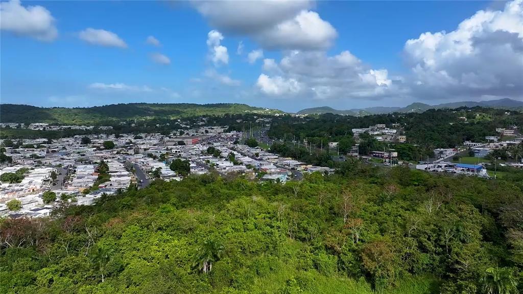 An aerial view shows a dense residential neighborhood nestled among lush green hills and trees — PR-3 KM 28.5 ZARZAL WARD, RIO GRANDE, PR
