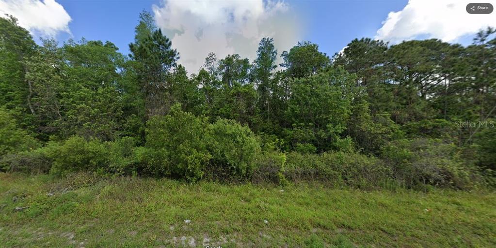 A dense, wooded vacant lot with thick green vegetation and tall trees under a cloudy sky — DEEN STILL ROAD, POLK CITY, FL