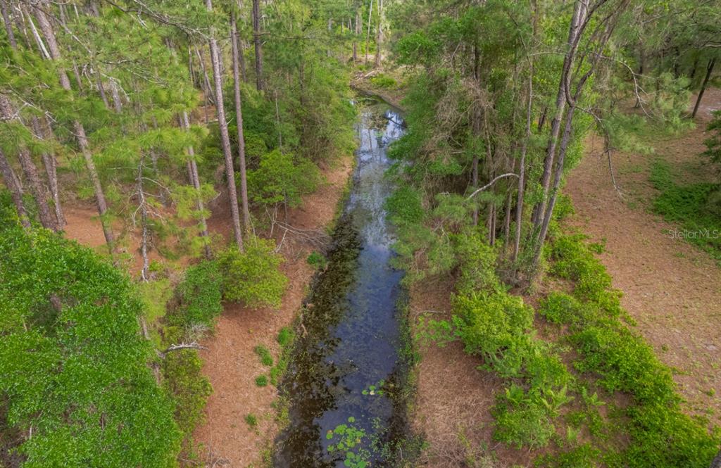 An aerial view shows a narrow, dark stream flowing through a wooded area with trees — 12205 N ELKCAM BOULEVARD, DUNNELLON, FL