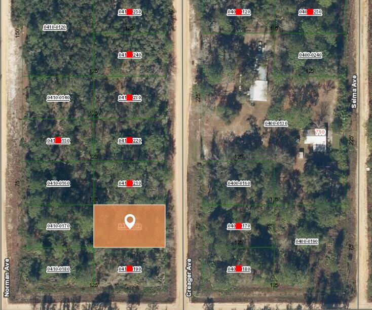 This is a satellite map showing a highlighted rectangular land parcel among wooded lots — 001 Creager, FL 32148, FL
