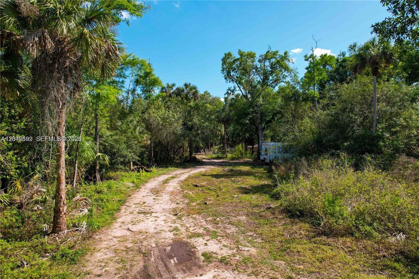 A dirt path leads through a wooded area toward a parked camper — 4180 36th Ave SE, Naples FL 34120, NAPLES, FL