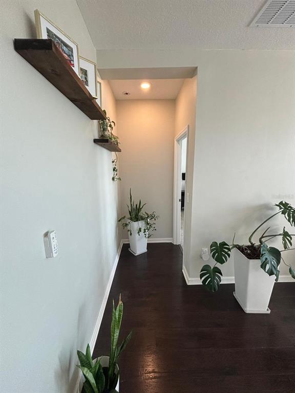 A hallway with dark wood floors, two floating shelves, and several potted plants — 1929 HEART LAKE DRIVE, GROVELAND, FL