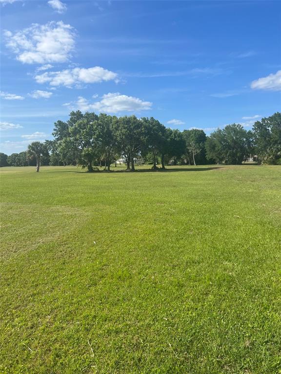 8104 SW LIVERPOOL ROAD, ARCADIA, FL — photo 4 of 6