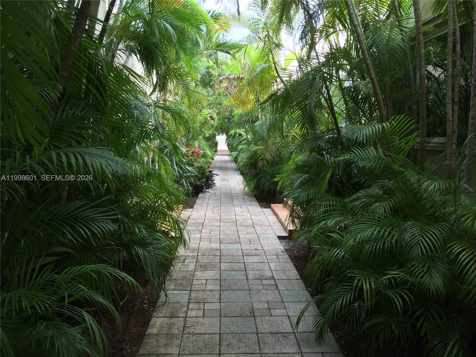 A stone-paved walkway is flanked by lush palm trees and tropical foliage — 4740 Pine Tree Dr # 26, Miami Beach FL 33140, MIAMI BEACH, FL