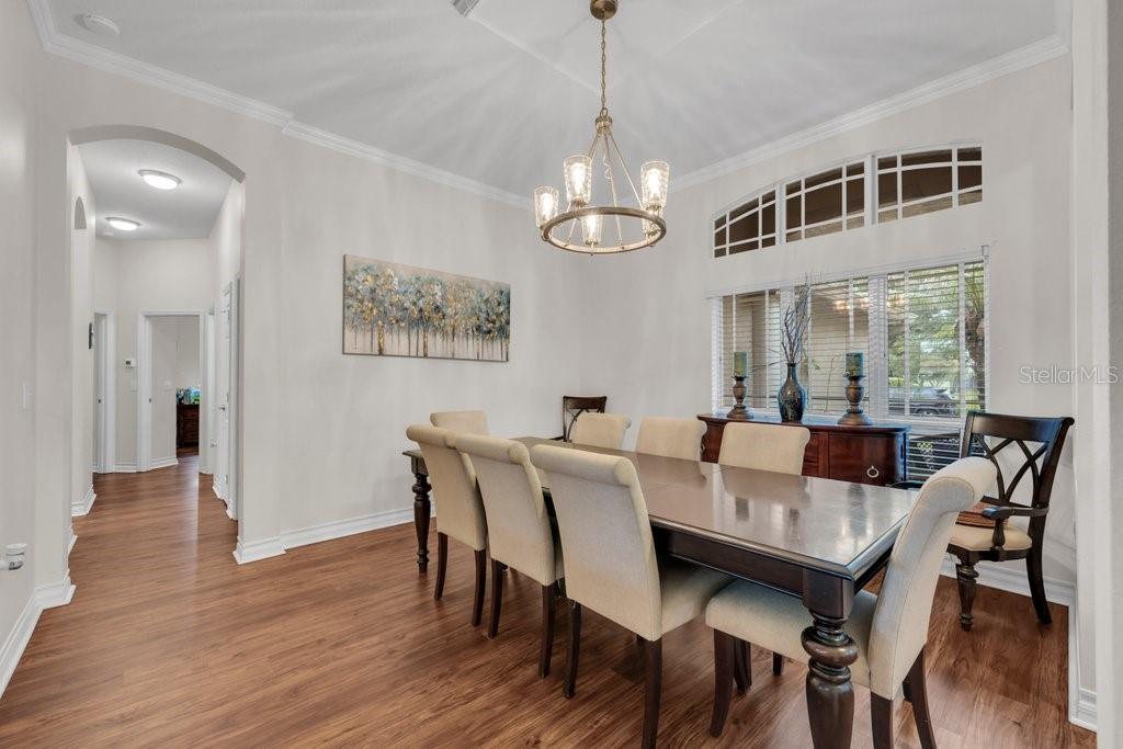 A dining room features a wooden table, upholstered chairs, a chandelier, and wood-look flooring — 16135 BRIDGEDALE DRIVE, LITHIA, FL