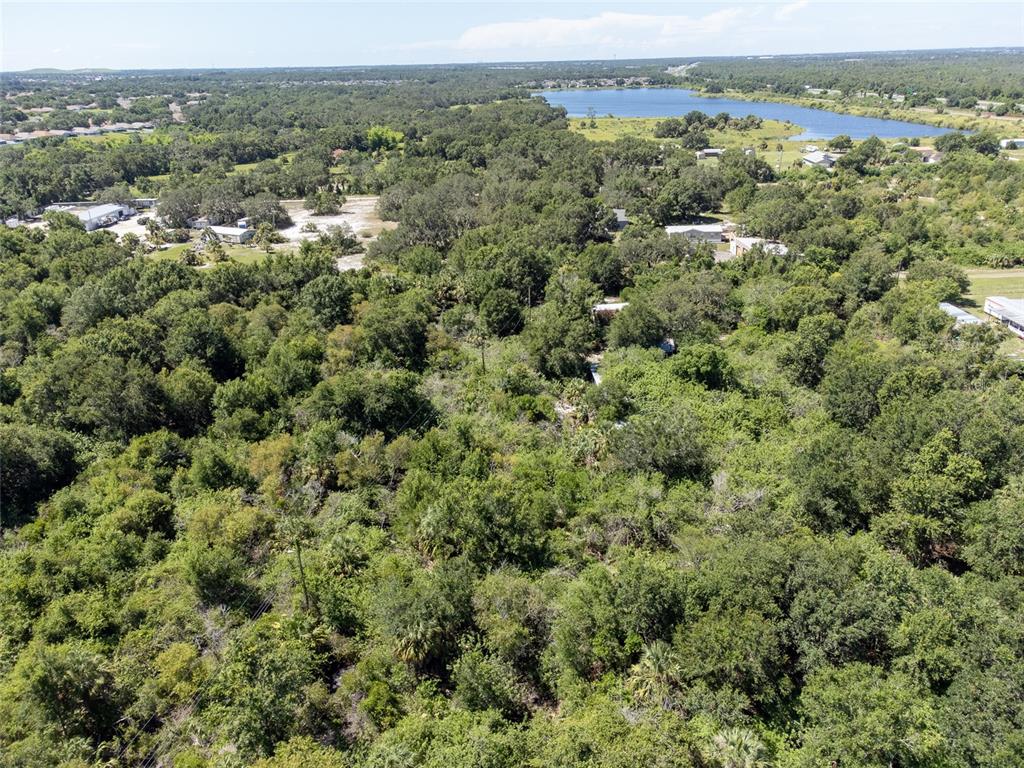 An aerial view shows a dense, wooded lot with scattered buildings and a distant lake — 12020 BULLFROG CREEK ROAD, GIBSONTON, FL