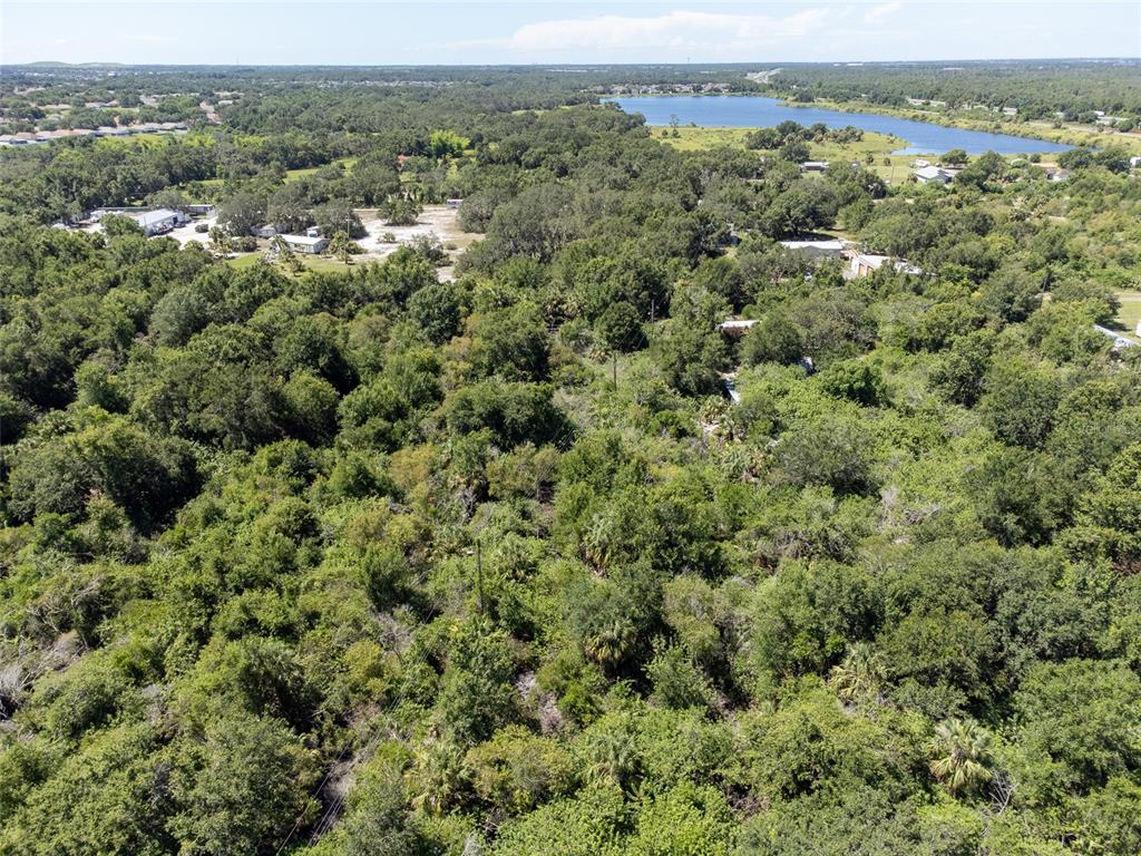 An aerial view shows a dense, wooded lot with a lake in the background — 12020 BULLFROG CREEK ROAD, GIBSONTON, FL