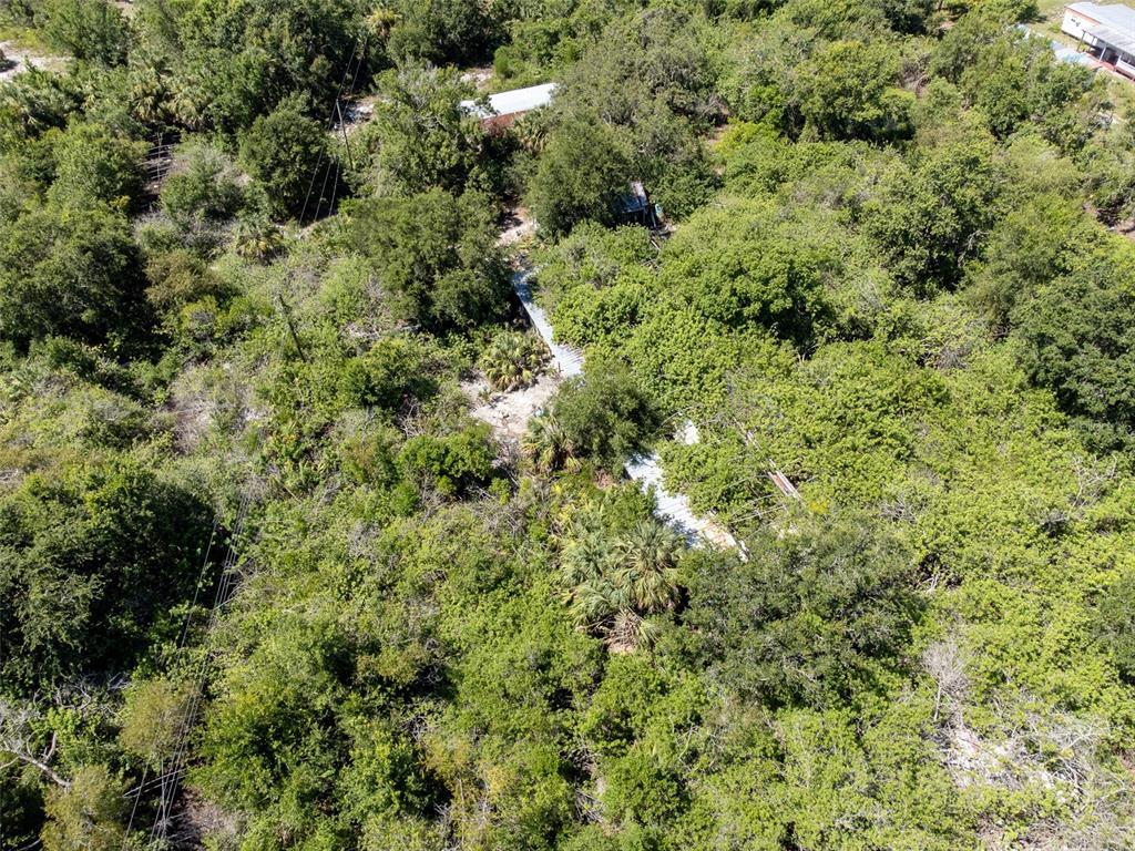 An aerial view shows a dilapidated structure partially obscured by dense trees and vegetation — 12020 BULLFROG CREEK ROAD, GIBSONTON, FL