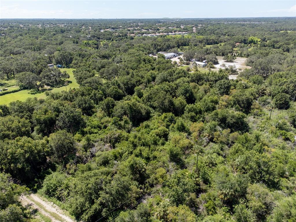 An aerial view shows a dense forest area with a dirt path and distant buildings — 12020 BULLFROG CREEK ROAD, GIBSONTON, FL