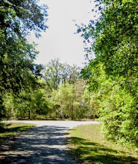 A paved road leads toward a wooded area with dense green trees and foliage — SEQUOIA DRIVE Lot 5, OCKLAWAHA, FL