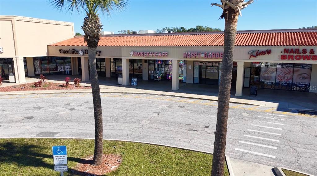 An exterior view of a strip mall featuring several storefronts and two palm trees — 3153 W VINE STREET, KISSIMMEE, FL