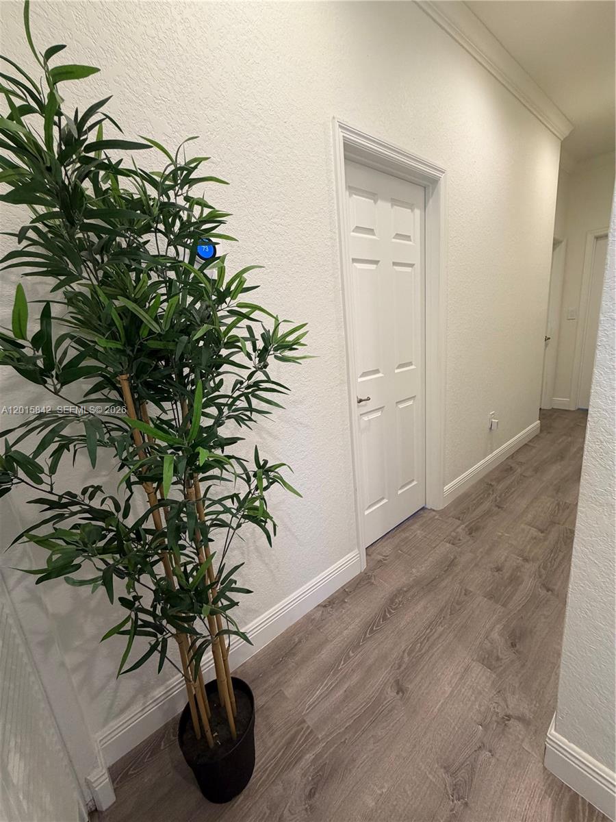 A hallway features wood-look flooring, white walls, a white door, and a tall artificial plant — 2824 SW 145th Ct # 2824, Miami FL 33175, MIAMI, FL