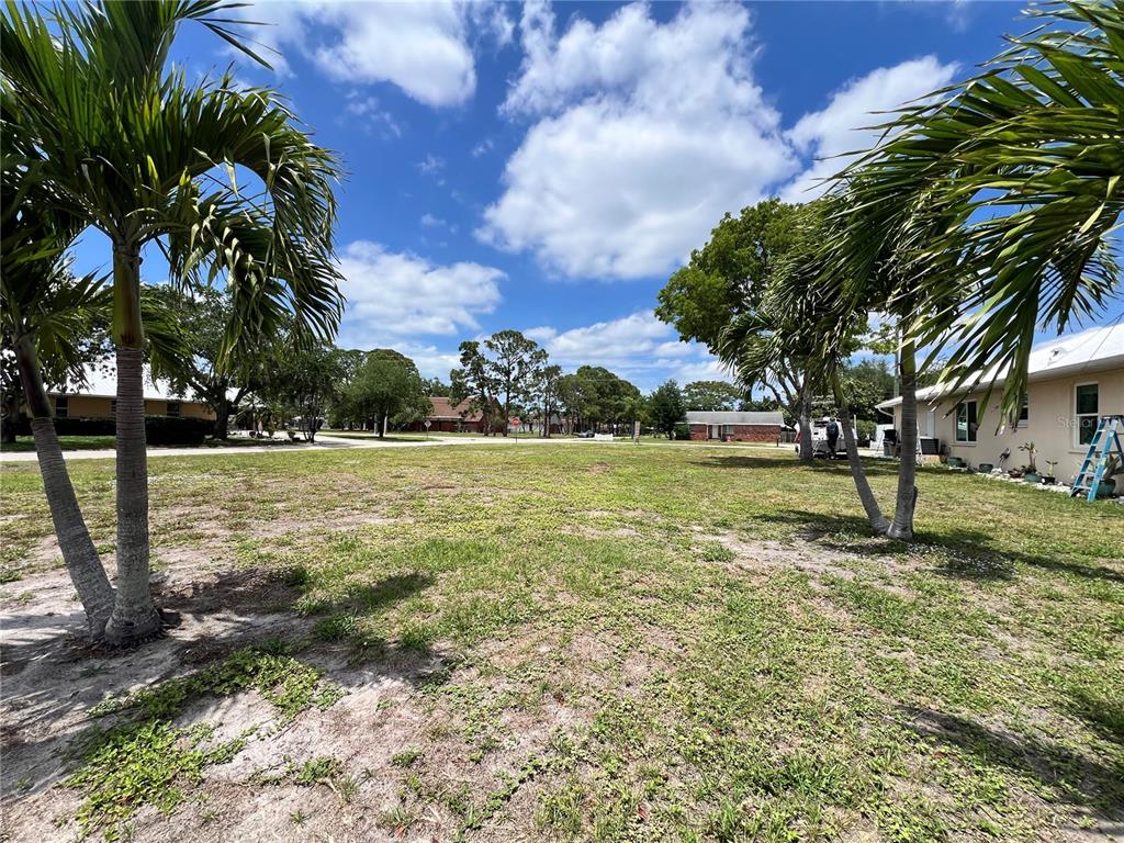A grassy vacant lot is framed by palm trees under a bright blue sky — 2213 10TH STREET W, PALMETTO, FL
