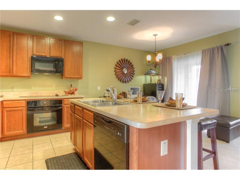 2955 WILLOWLEAF LANE, WESLEY CHAPEL, FL — photo 4 of 17