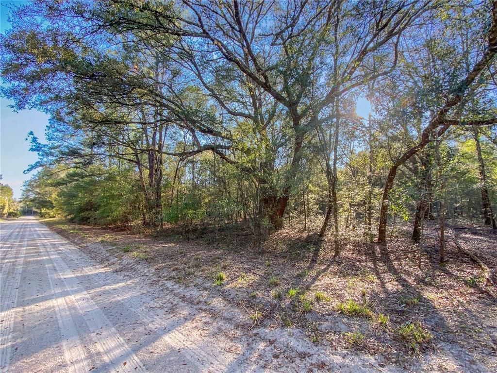 SW BUFFALO CT, FORT WHITE, FL — photo 5 of 11