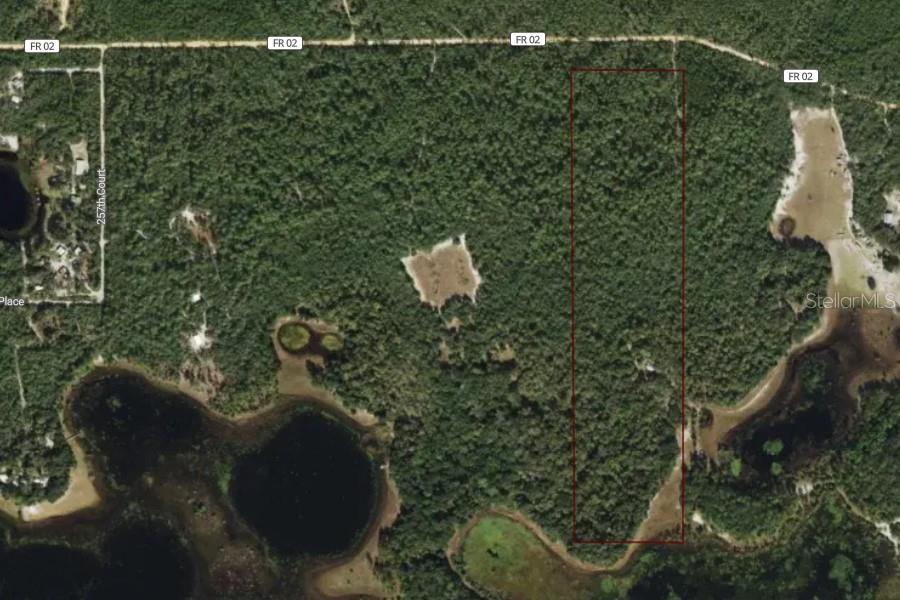 This is an aerial map showing a rectangular plot of land outlined in red — 0 FOREST 02, #1, SE 150TH STREET, UMATILLA, FL