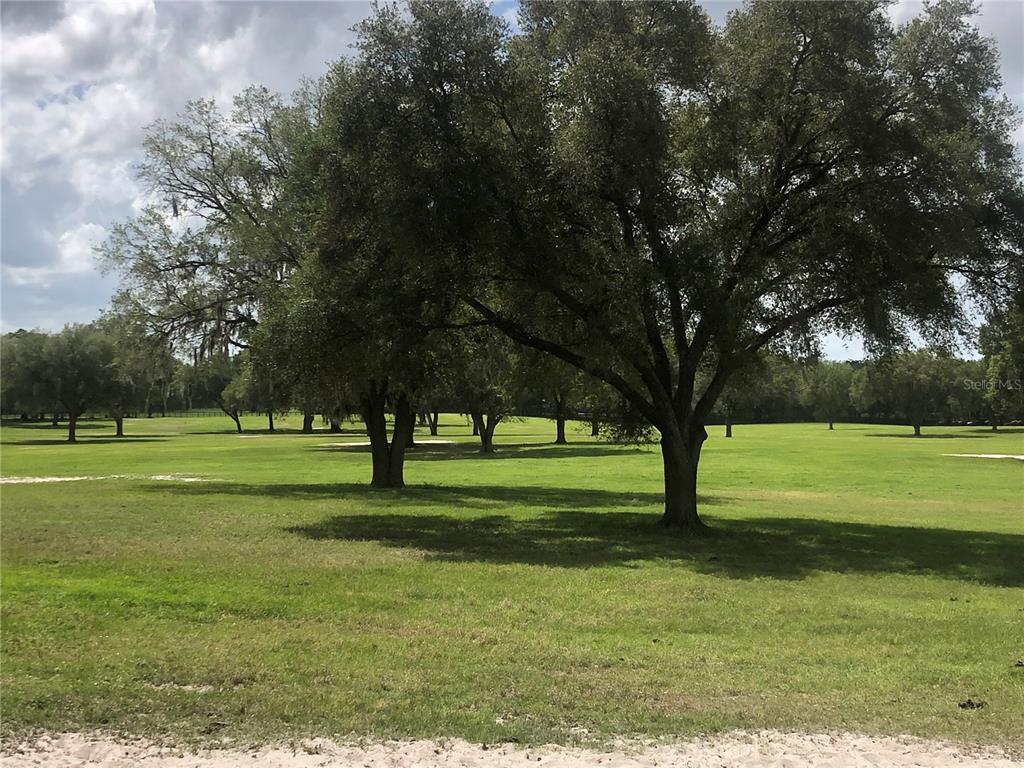 A grassy field with several large, mature oak trees under a cloudy sky — 00 SE 30TH STREET, MORRISTON, FL