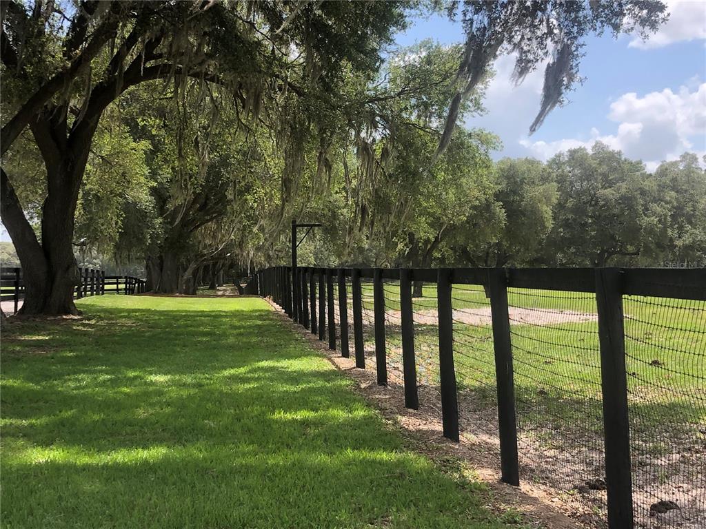A black wire fence runs alongside a grassy path shaded by large, moss-draped oak trees — 00 SE 30TH STREET, MORRISTON, FL