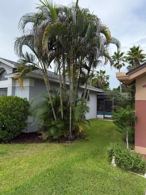 A large palm tree stands in the side yard between two residential houses — 588 HOLLOWTREE PLACE, TARPON SPRINGS, FL