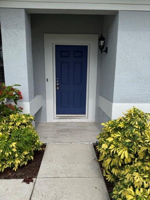 A blue front door is centered between two bushes on a concrete walkway — 588 HOLLOWTREE PLACE, TARPON SPRINGS, FL