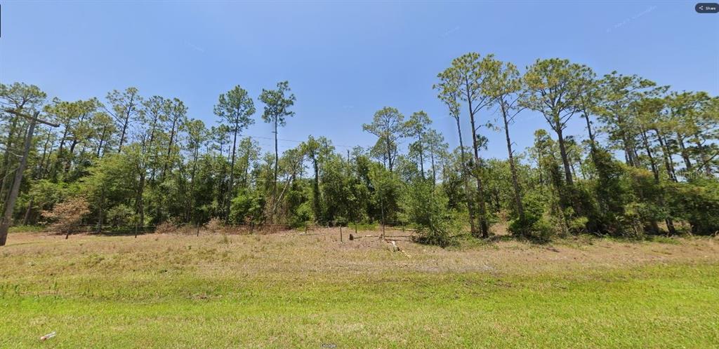 A grassy, sloped lot features a dense line of tall pine trees in the background — RIVER RANCH BOULEVARD, LAKE WALES, FL