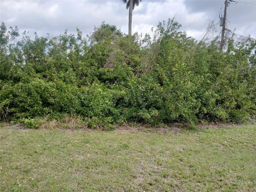 A dense thicket of green shrubs and trees grows on a grassy lot — CORSICA LANE, NORTH PORT, FL