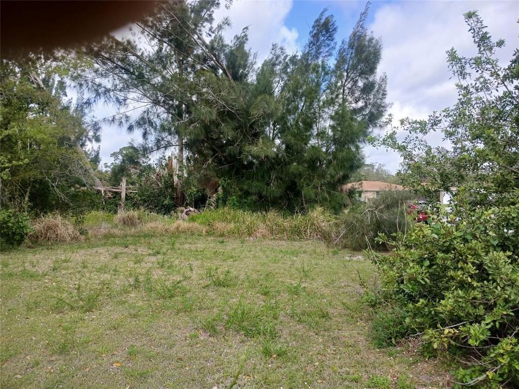 A grassy, undeveloped lot features dense trees and shrubs under a partly cloudy sky — CORSICA LANE, NORTH PORT, FL