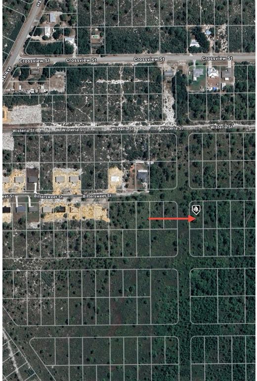 This is an aerial map showing a vacant residential lot marked with a red arrow — 629 GADWALL AVENUE, LAKE PLACID, FL