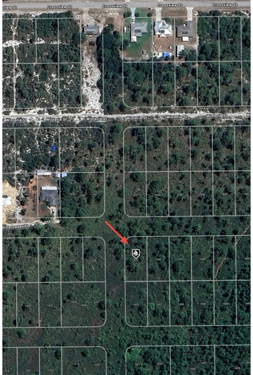 This is an aerial map showing a vacant residential lot marked with a red arrow — 629 GADWALL AVENUE, LAKE PLACID, FL