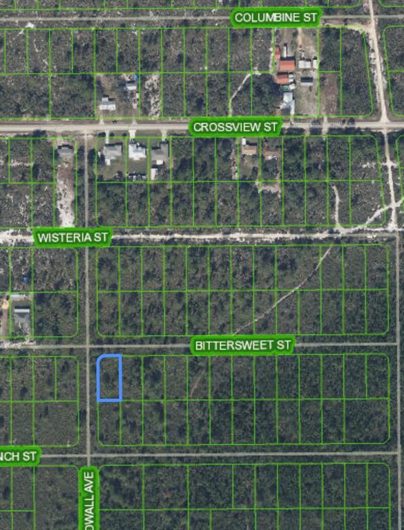 This is an aerial map showing a vacant lot highlighted in blue within a residential grid — 629 GADWALL AVENUE, LAKE PLACID, FL