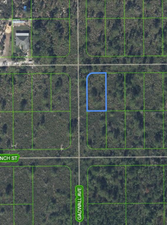 This is an aerial map showing a highlighted vacant residential lot near a street intersection — 629 GADWALL AVENUE, LAKE PLACID, FL
