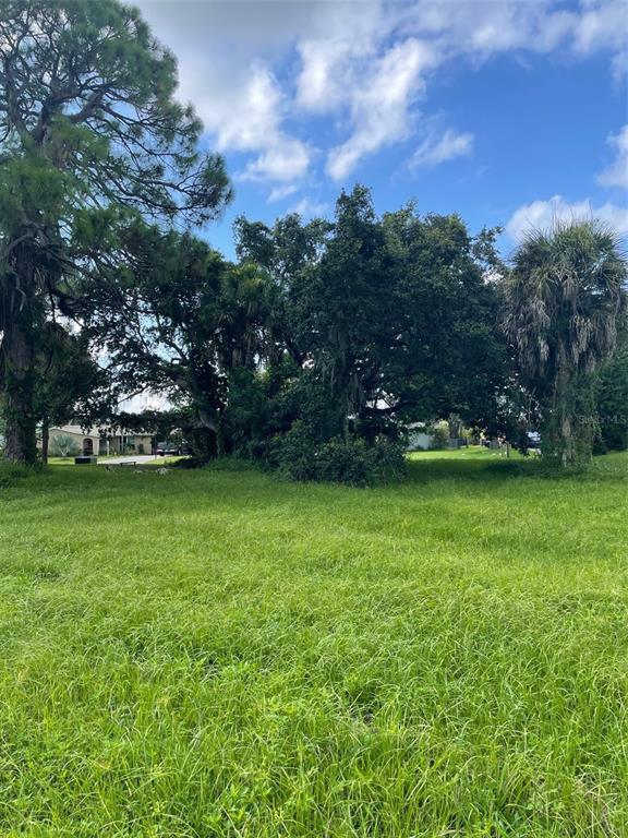 A grassy, overgrown vacant lot features several large mature trees under a blue sky — 223 ANNAPOLIS LANE, ROTONDA WEST, FL