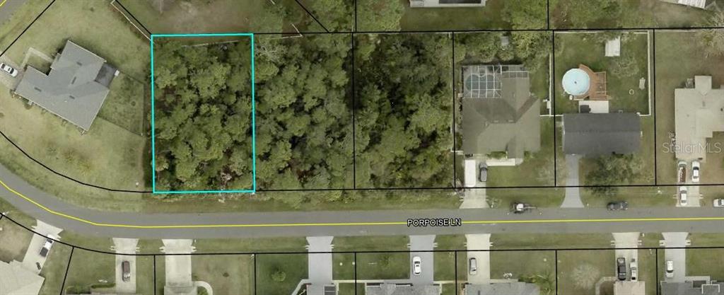This aerial map shows a vacant, wooded residential lot outlined in blue along a street — 3 PORPOISE LANE, PALM COAST, FL