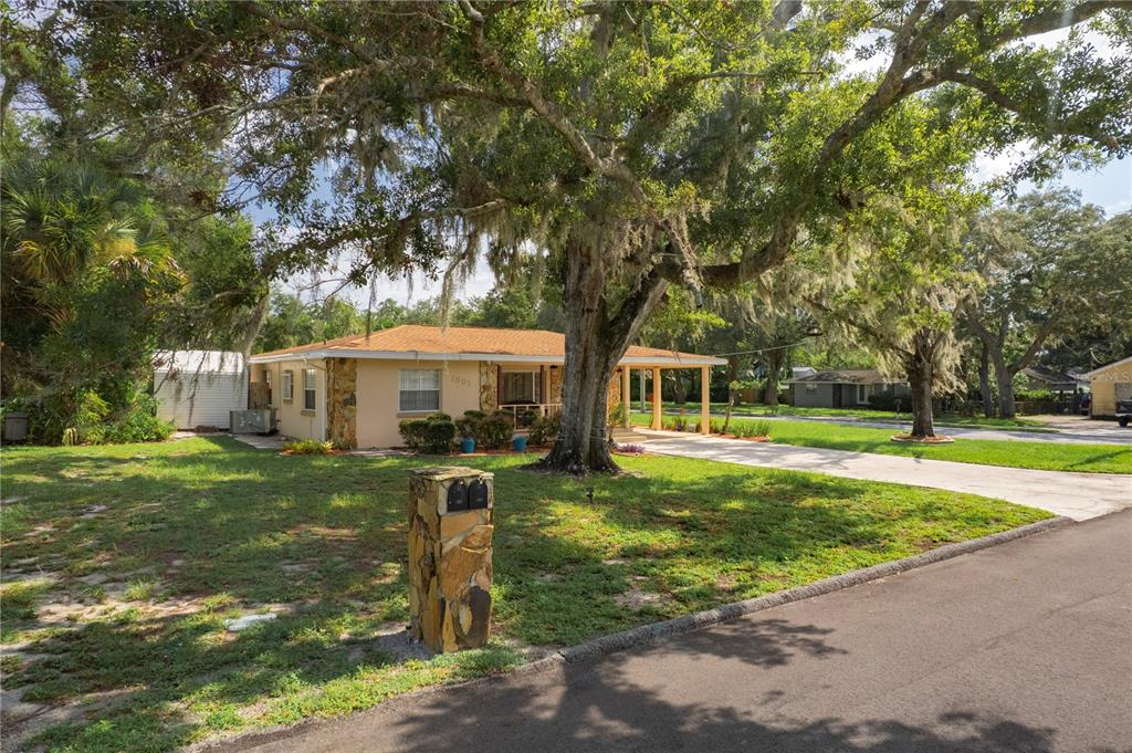 A single-story house with a stone-accented exterior and a large oak tree in the yard — 1901 E PARIS STREET, TAMPA, FL
