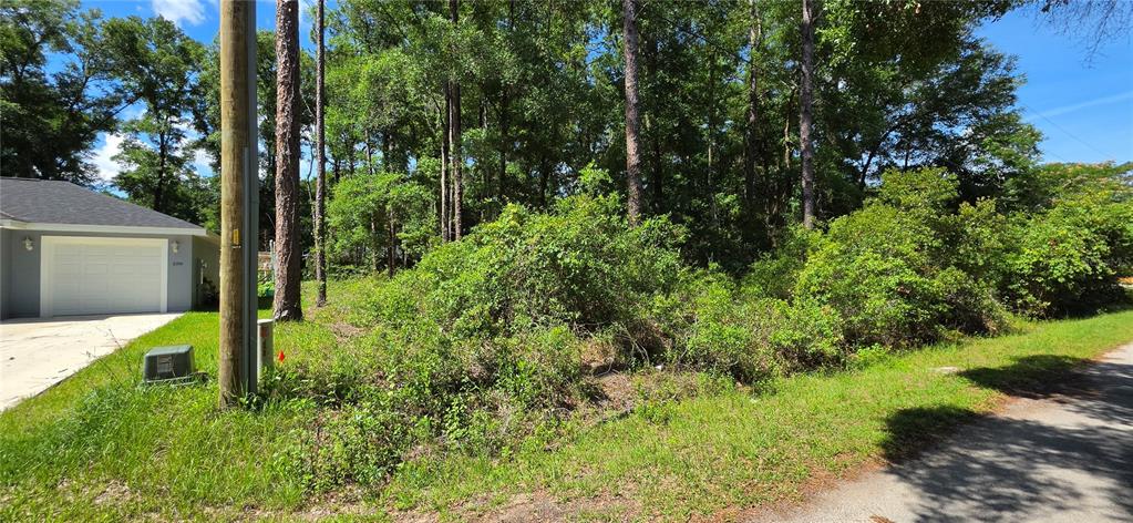 A vacant, overgrown residential lot sits next to a house with a white garage — Lot 10 NW 61 LANE, OCALA, FL