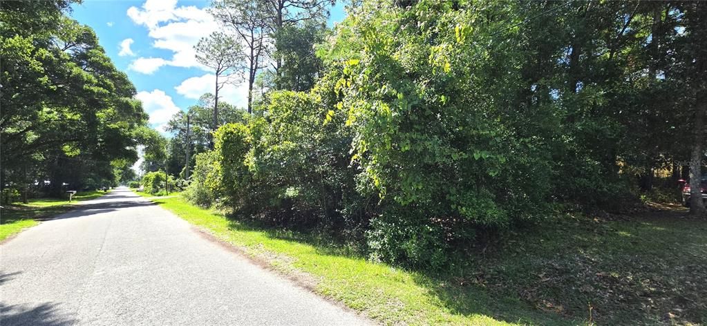 A paved road runs alongside a dense, wooded lot under a blue sky — Lot 10 NW 61 LANE, OCALA, FL