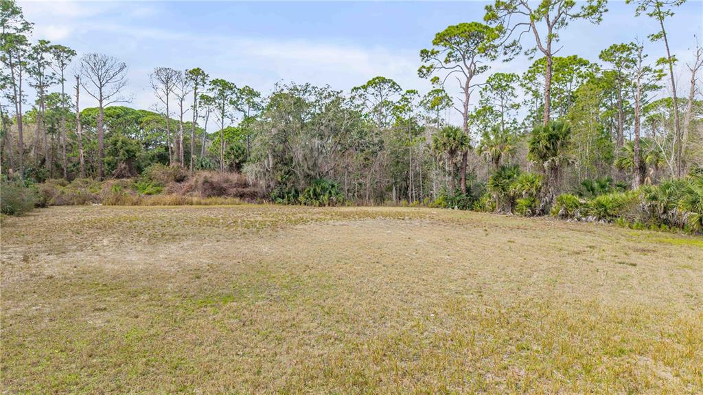 A flat, grassy vacant lot is bordered by a dense line of tall pine trees — 370 S US HIGHWAY 1, OAK HILL, FL