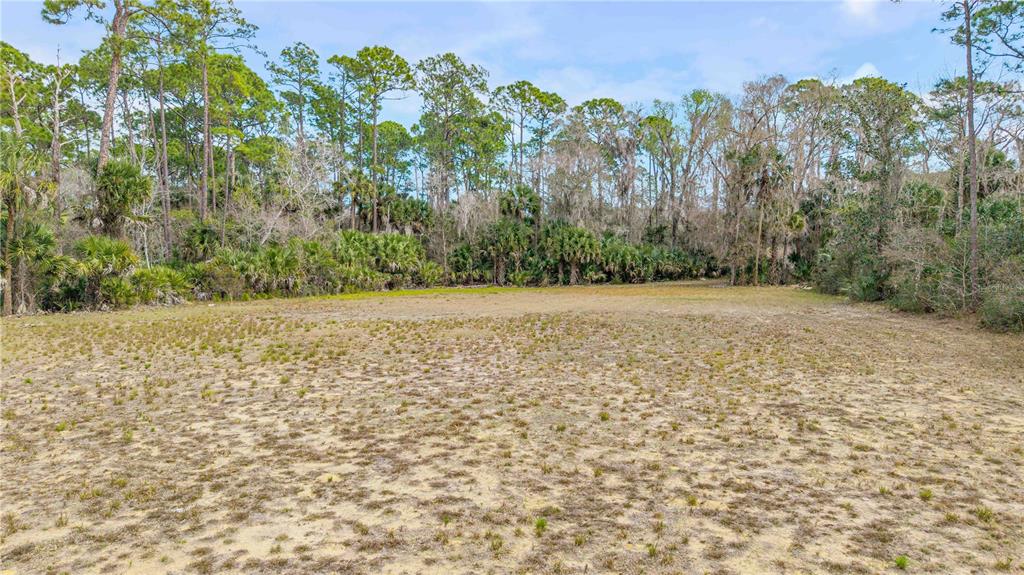 A flat, sandy, undeveloped lot bordered by a dense line of tall pine and palm trees — 370 S US HIGHWAY 1, OAK HILL, FL
