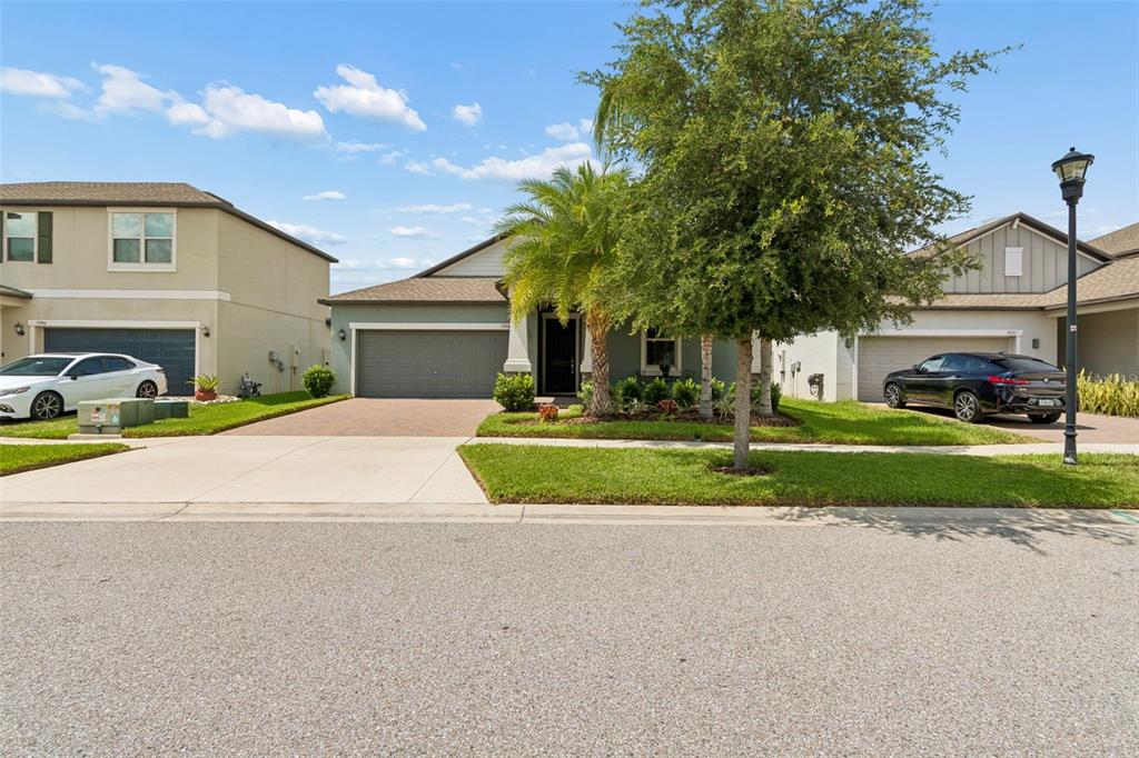 A single-story house with a paved driveway, a palm tree, and a green lawn — 9908 SAGE CREEK DRIVE, RUSKIN, FL