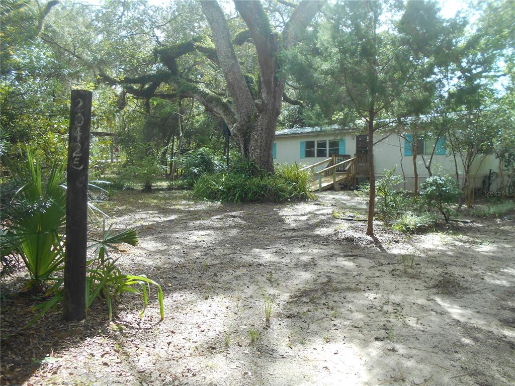 A dirt driveway leads through a wooded area with scattered leaves and a wire fence — 20425 NE 143RD STREET, SALT SPRINGS, FL