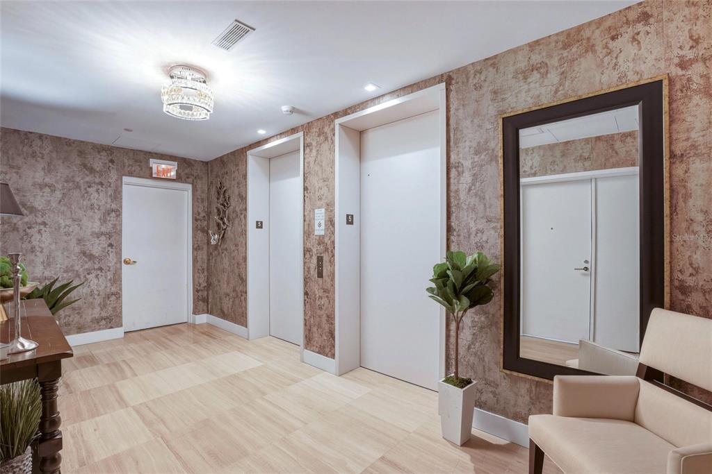 An elevator lobby features textured wallpaper, light wood flooring, a large mirror, and two elevators — 3101 BAYSHORE BOULEVARD UNIT 504, TAMPA, FL