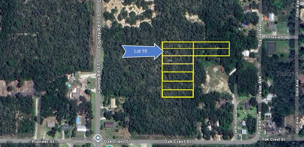 An aerial map shows a highlighted rectangular property lot outlined in yellow near a road — 6101 OAK RIDGE AVENUE LOT 19, SEBRING, FL