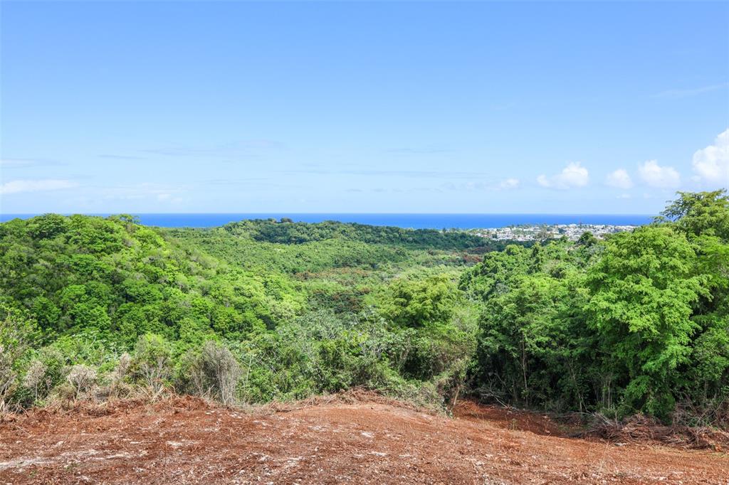 A wide-angle view of a cleared dirt lot overlooking a lush, hilly forest and ocean — KM 2.4 INT LA RAMPLA Lot 5, HATILLO, PR