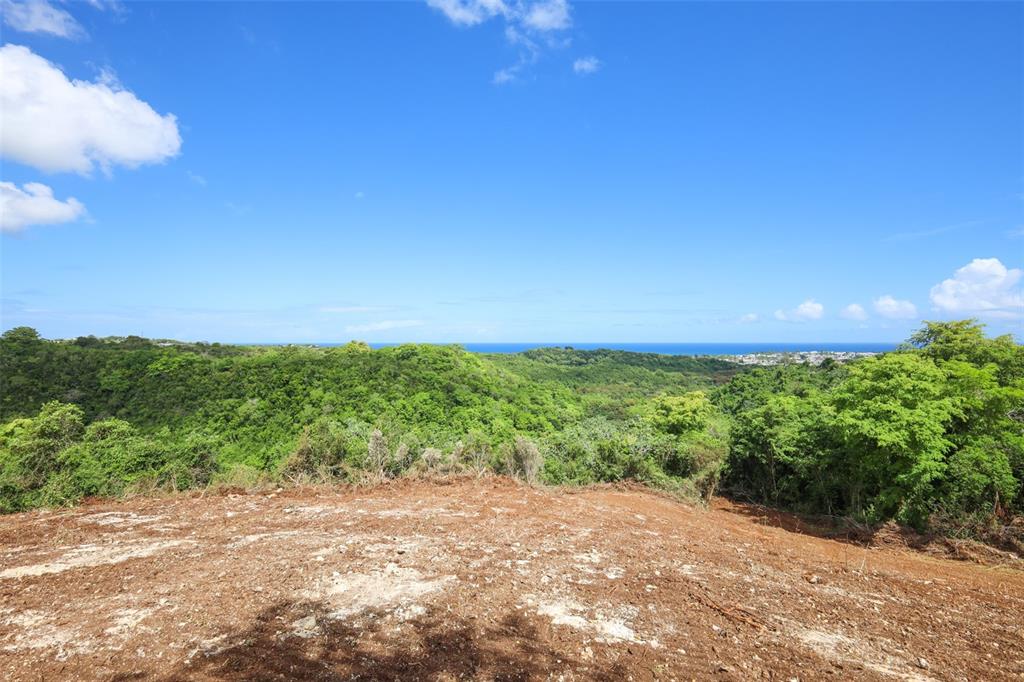 A cleared dirt lot overlooks a lush green valley with a distant ocean view — KM 2.4 INT LA RAMPLA Lot 5, HATILLO, PR