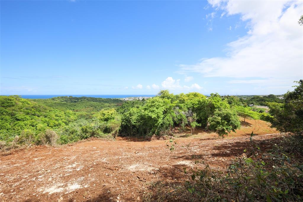 A view of a cleared dirt lot overlooking a lush green forest and the ocean — KM 2.4 INT LA RAMPLA Lot 5, HATILLO, PR