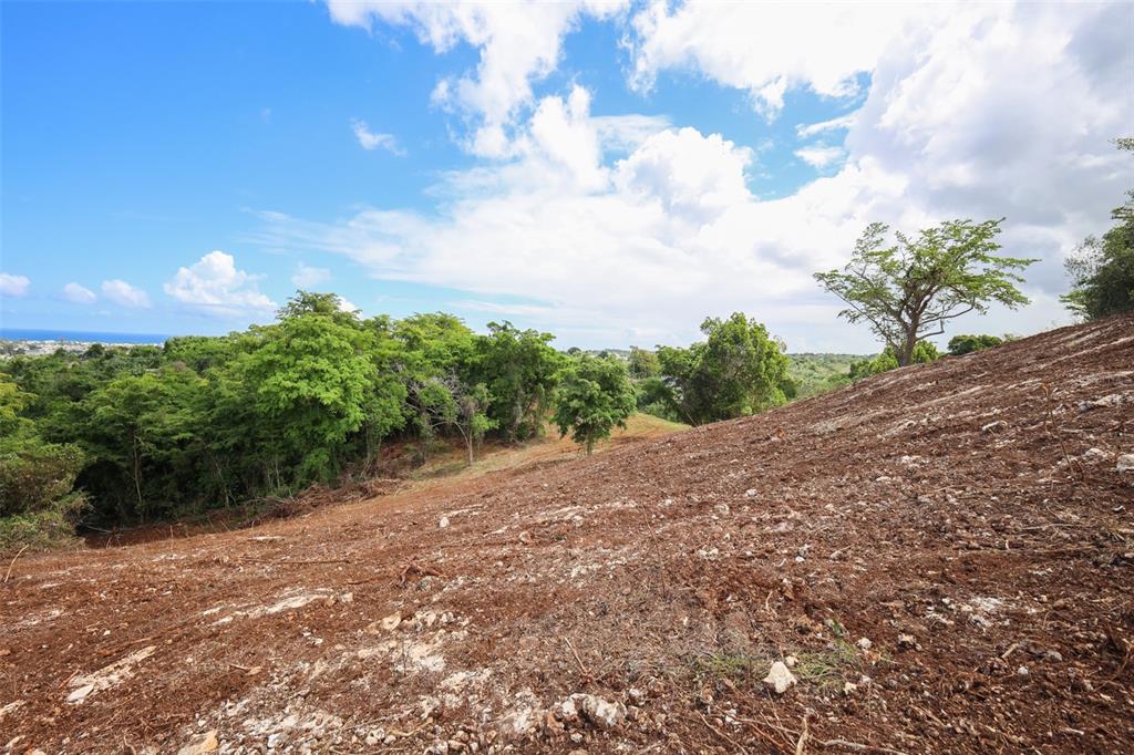 A sloped, cleared dirt lot sits adjacent to a dense forest under a blue sky — KM 2.4 INT LA RAMPLA Lot 5, HATILLO, PR