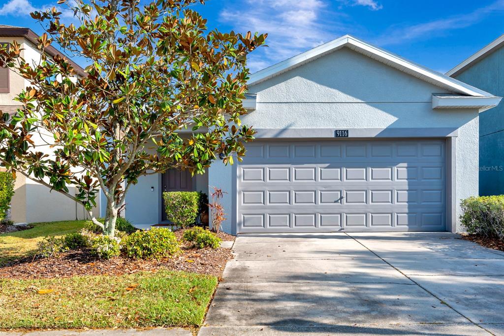 9116 MOUNTAIN CAMELLIA LANE