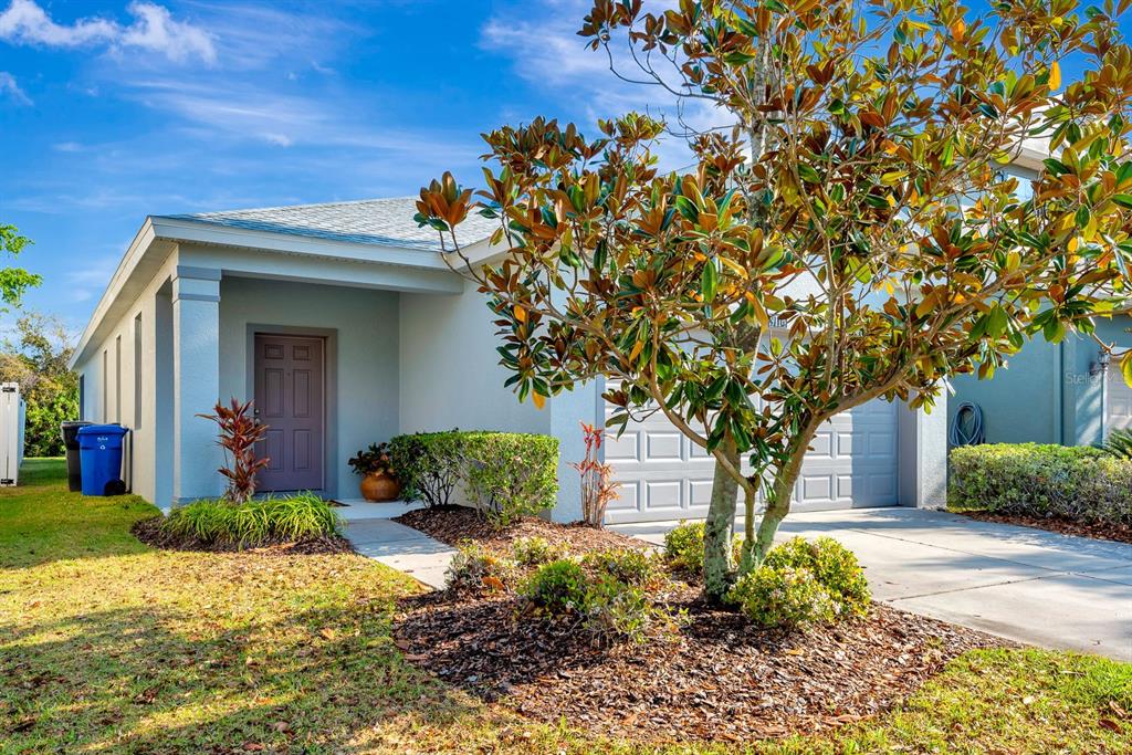 A single-story house with a gray front door, a garage, and a large magnolia tree — 9116 MOUNTAIN CAMELLIA LANE, RIVERVIEW, FL