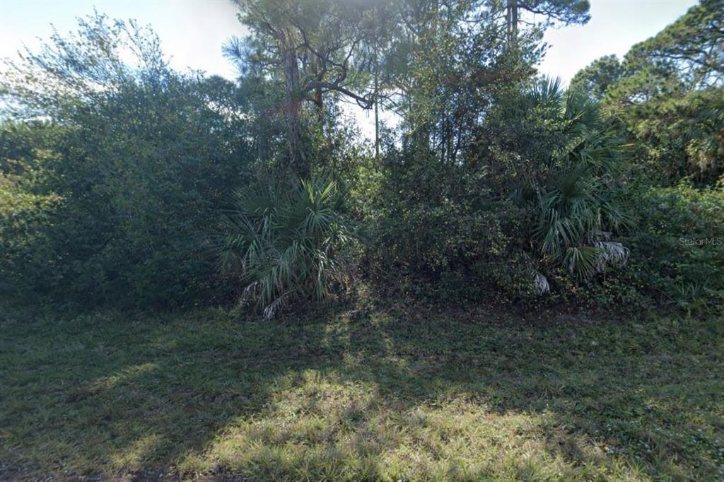 A dense, wooded lot with tall trees and palmetto bushes under a bright sky — 26425 BROOKS ROAD, PUNTA GORDA, FL