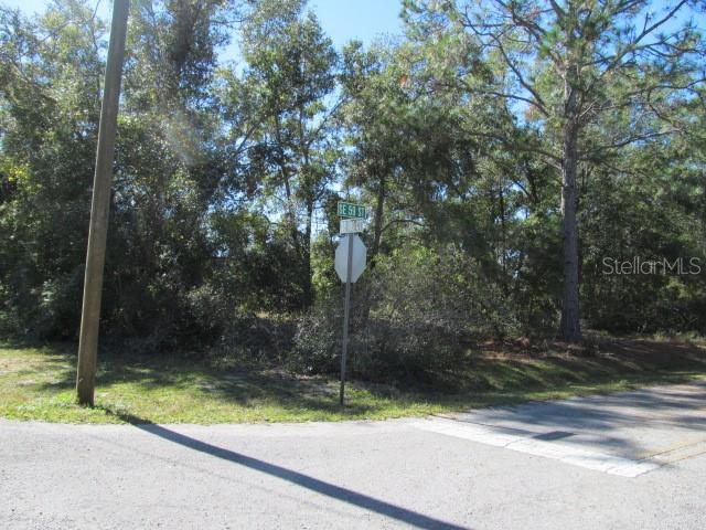 A street sign stands at a wooded corner lot next to a paved road — 00 SE 169TH COURT, OCKLAWAHA, FL